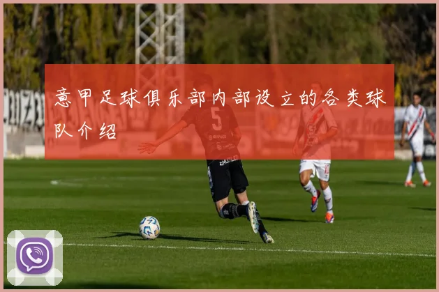 意甲足球俱乐部内部设立的各类球队介绍