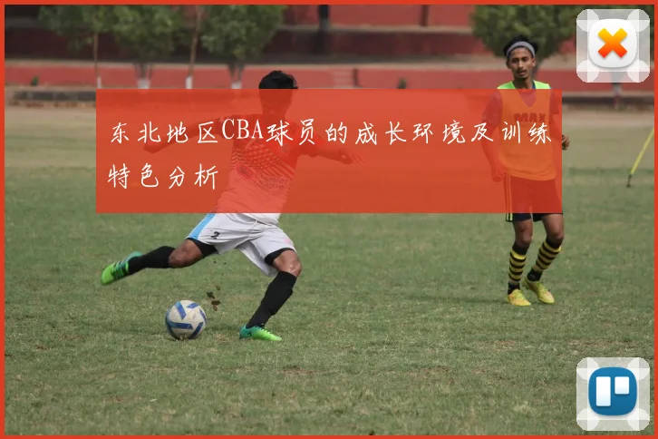 东北地区CBA球员的成长环境及训练特色分析