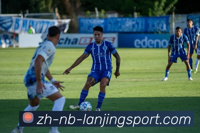 蓝鲸体育发展历程